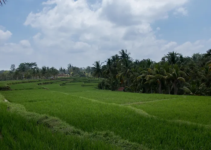 Onje And ウブド